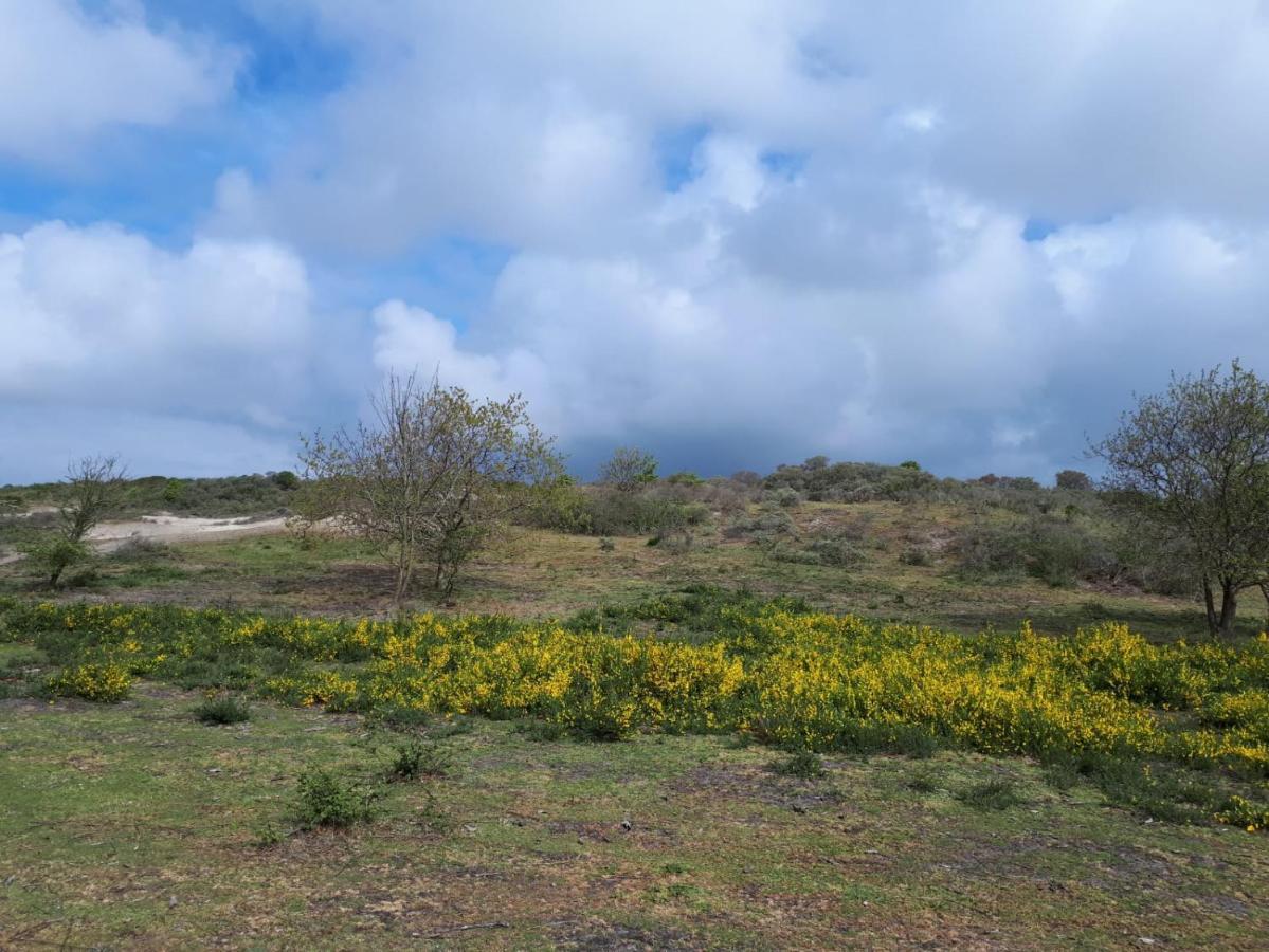 Vakantiehuis La Petite Redousse Renesse Bagian luar foto