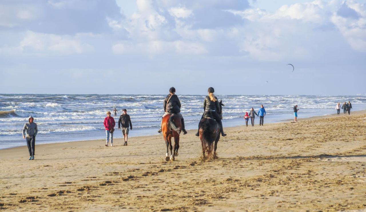 Vakantiehuis La Petite Redousse Renesse Bagian luar foto